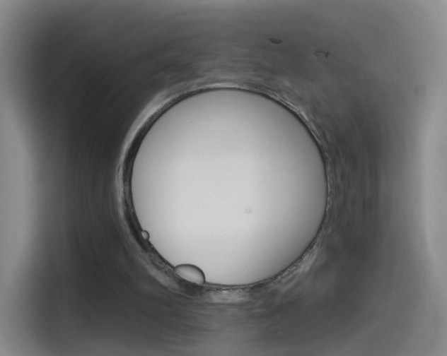 X0000114550102200910190959