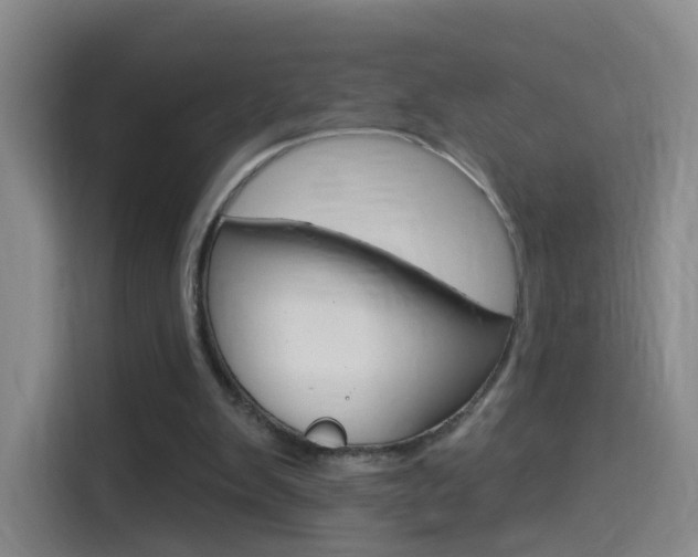 X0000114550103200910190959