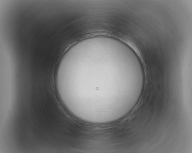 X0000114550105200910190959