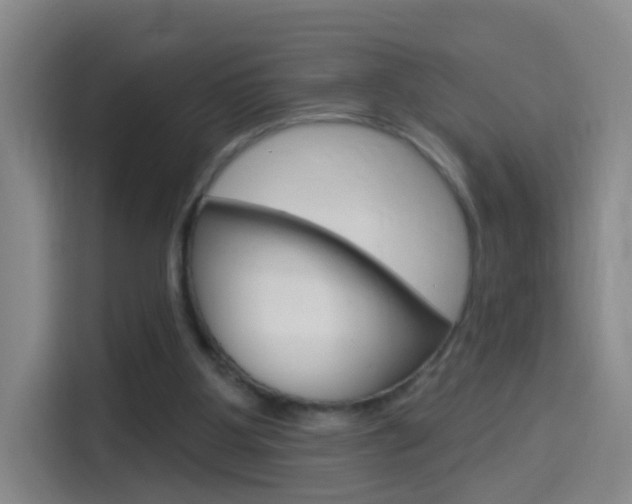 X0000114550107200910190959