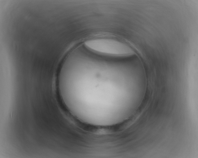 X0000114550111200910190959