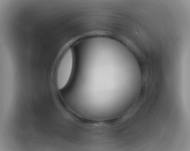 X0000114550112200910190959