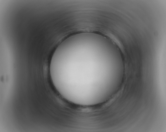 X0000114550113200910190959