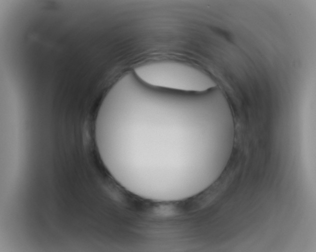 X0000114550114200910190959