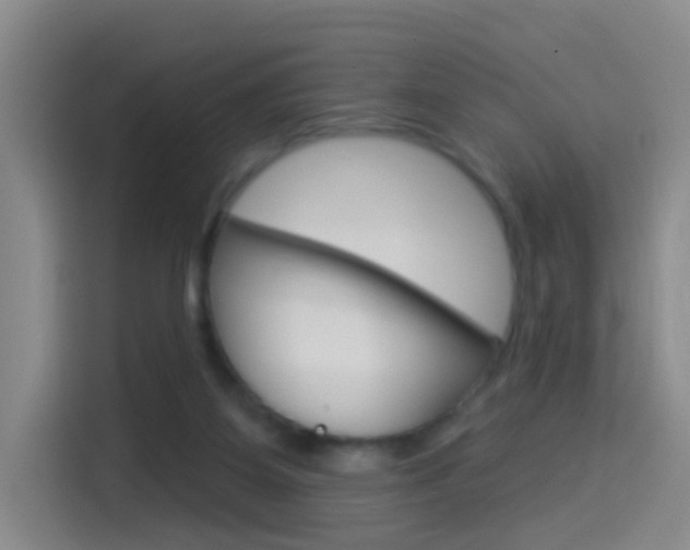 X0000114550115200910190959