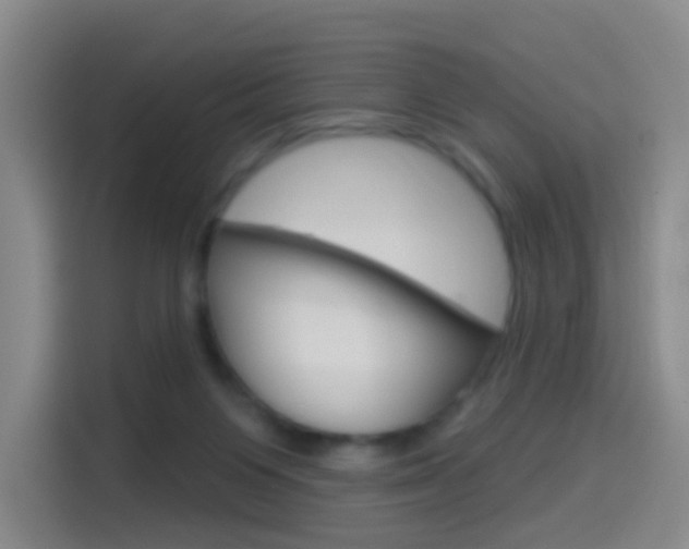 X0000114550119200910190959