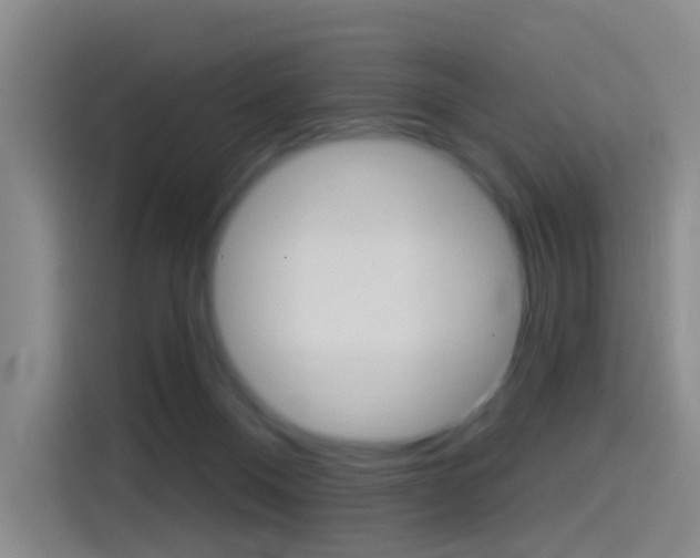 X0000114550120200910190959