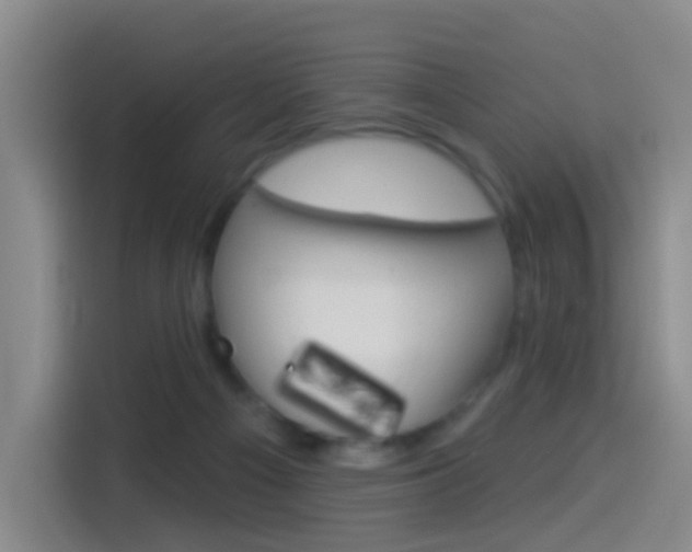 X0000114550121200910190959