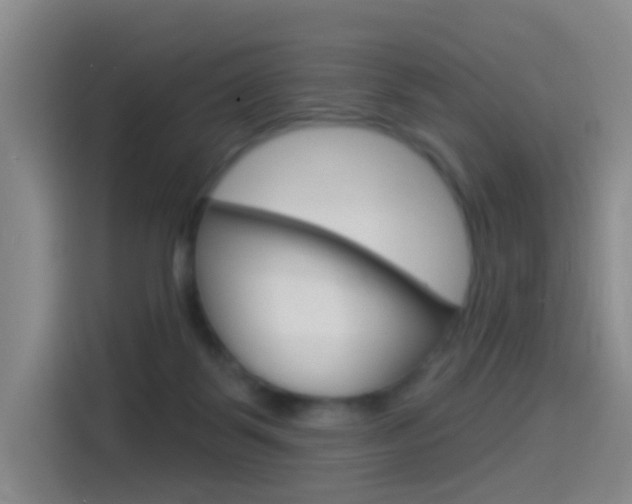X0000114550123200910190959