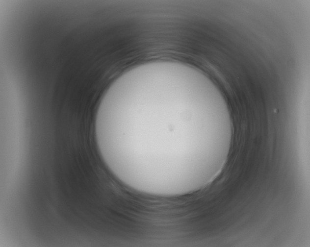 X0000114550124200910190959