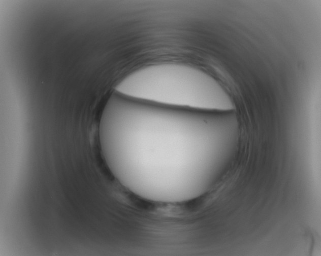 X0000114550125200910190959