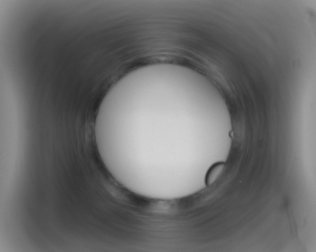X0000114550126200910190959