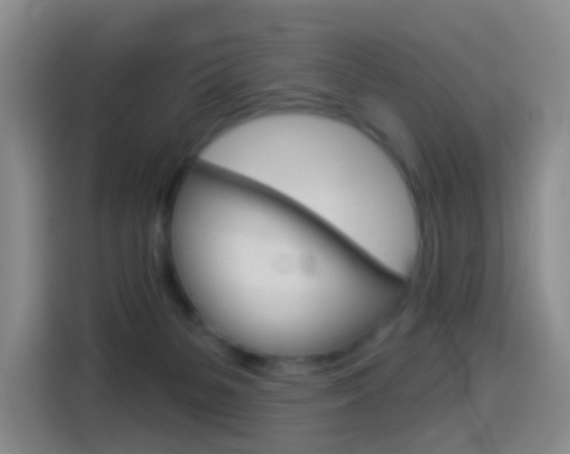 X0000114550127200910190959