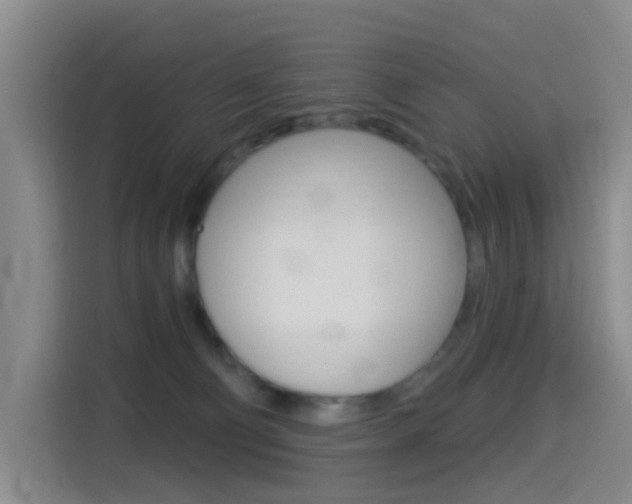 X0000114550130200910190959