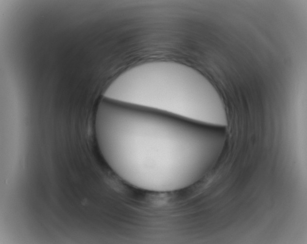 X0000114550131200910190959