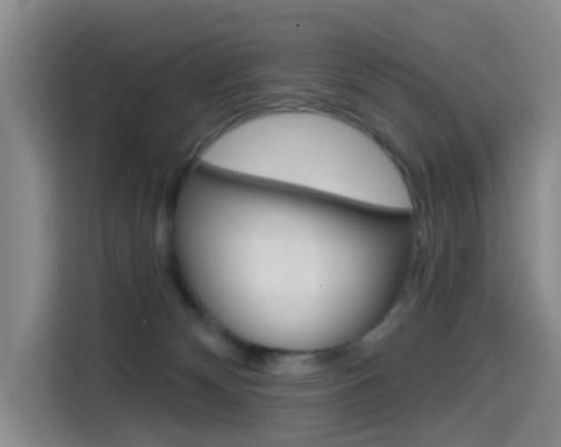 X0000114550132200910190959