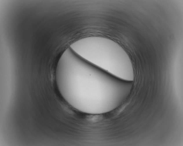 X0000114550135200910190959