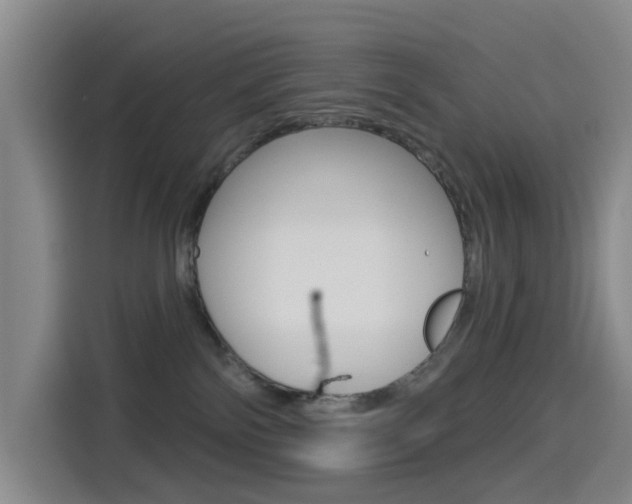X0000114550138200910190959