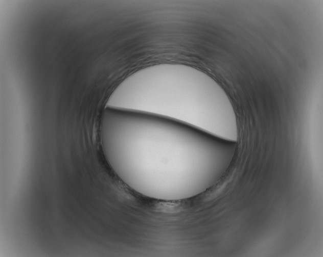 X0000114550139200910190959