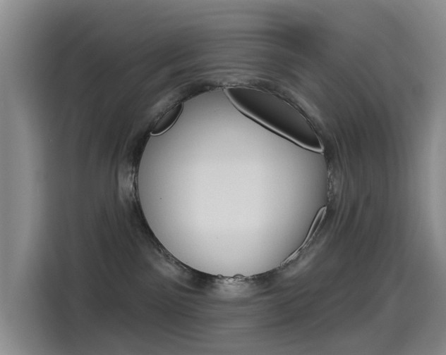 X0000114550141200910190959
