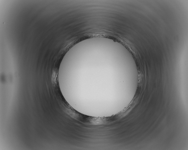 X0000114550142200910190959