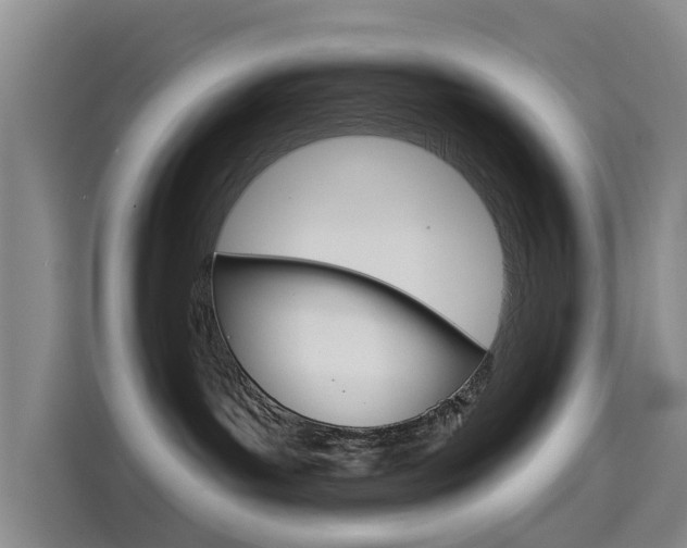 X0000114550143200910190959