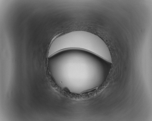 X0000114550144200910190959