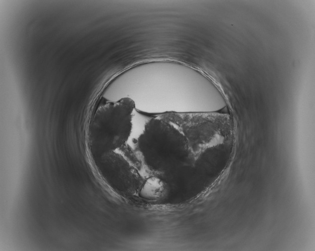 X0000114550145200910190958