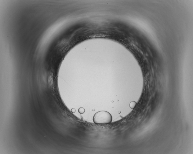 X0000114550146200910190958