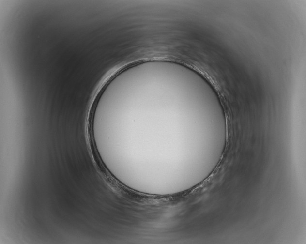 X0000114550147200910190958