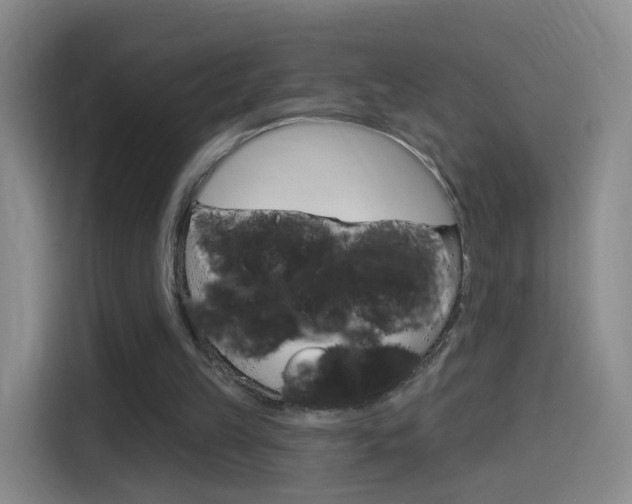 X0000114550149200910190958