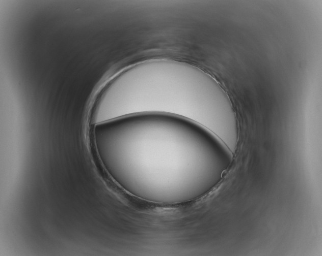 X0000114550150200910190958