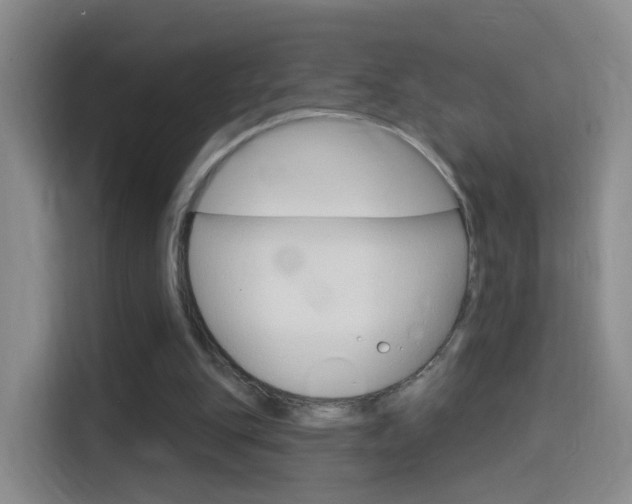 X0000114550151200910190958