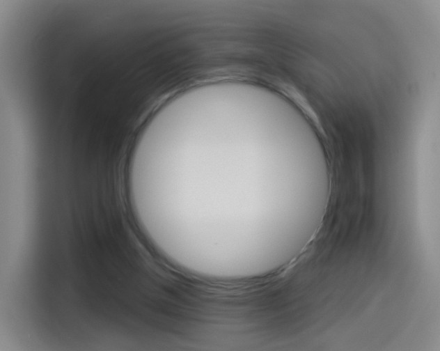 X0000114550154200910190958