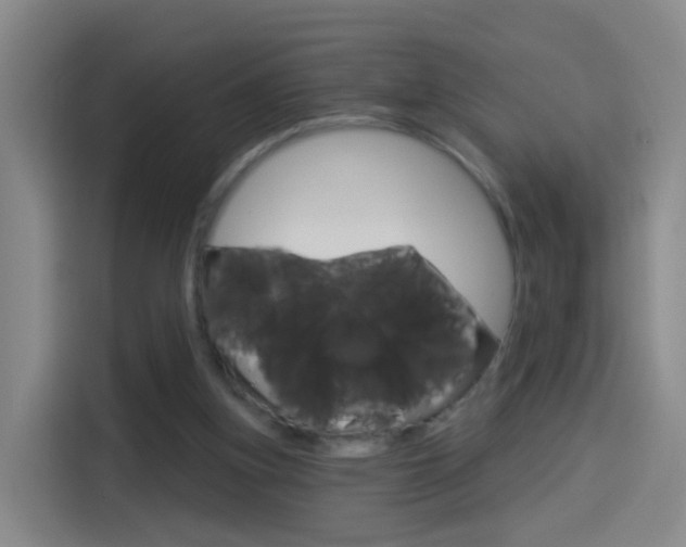 X0000114550155200910190958