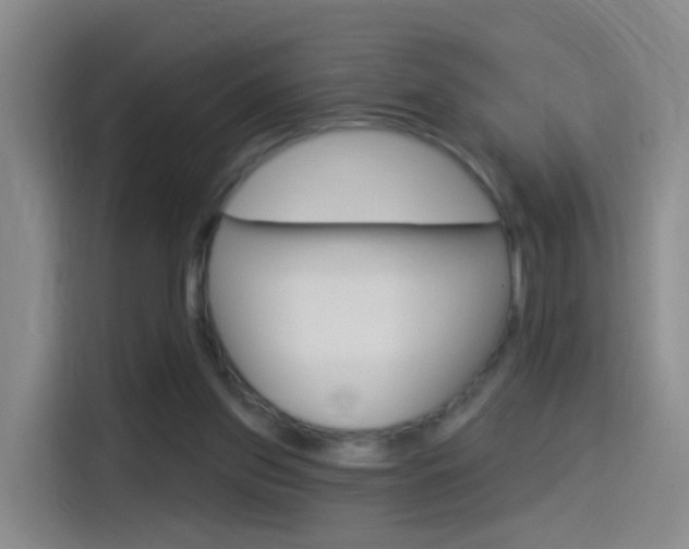 X0000114550157200910190958