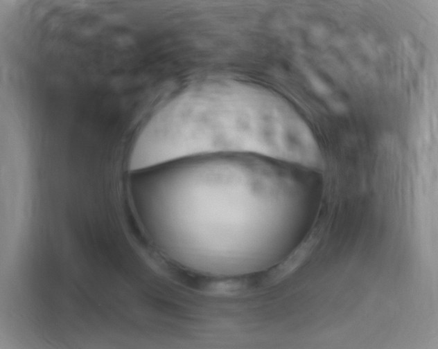 X0000114550158200910190958