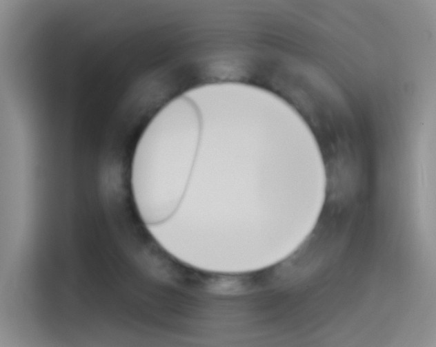 X0000114550162200910190958