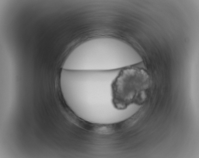 X0000114550163200910190958