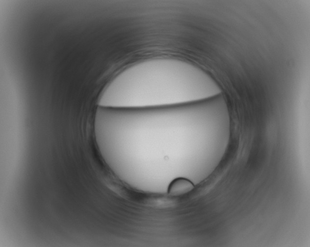 X0000114550165200910190958