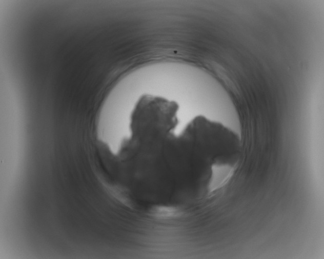 X0000114550167200910190958