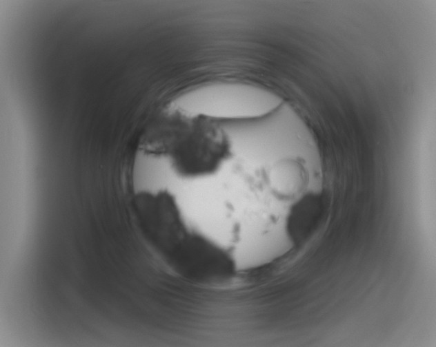 X0000114550169200910190958