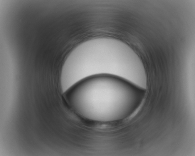 X0000114550174200910190958