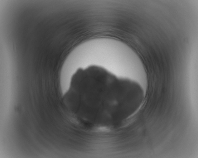 X0000114550175200910190958