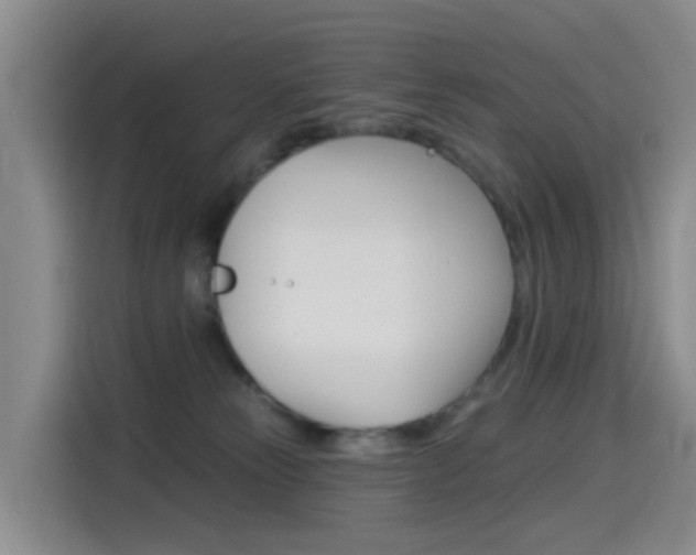 X0000114550181200910190958