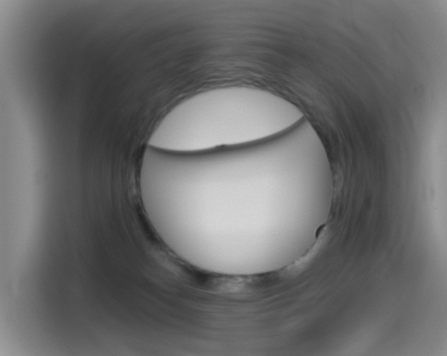 X0000114550182200910190958