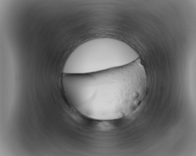 X0000114550183200910190958