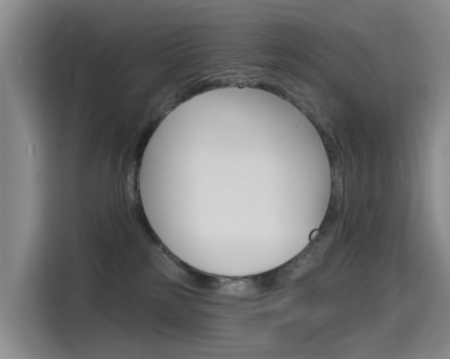 X0000114550185200910190958
