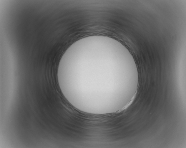 X0000114550186200910190958