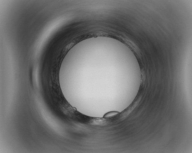 X0000114550189200910190959